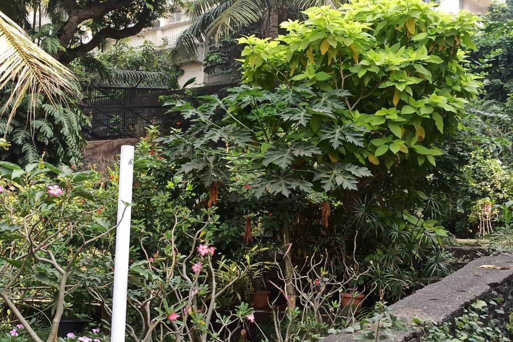 Cozy Private Ac Studio By The Sea Bandstand Bandra W Mumbai Nr Taj Lands End Exterior photo